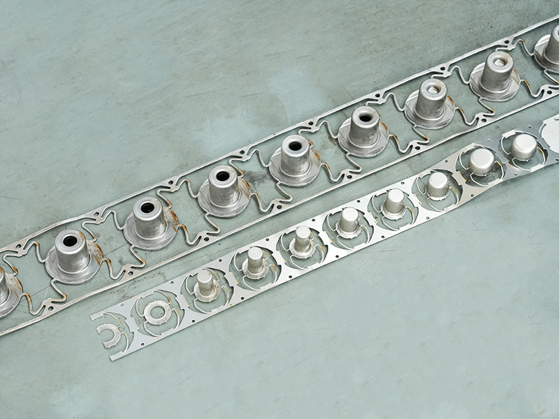 Materiał pasek i pleśń