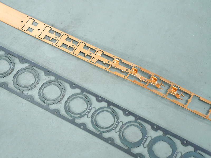 Materiał pasek i pleśń